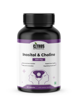 Inositol with Choline 500 mg